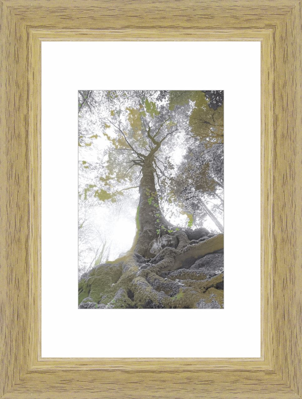Bilderrahmen Modern eiche, 9 x 13 cm von The Wall