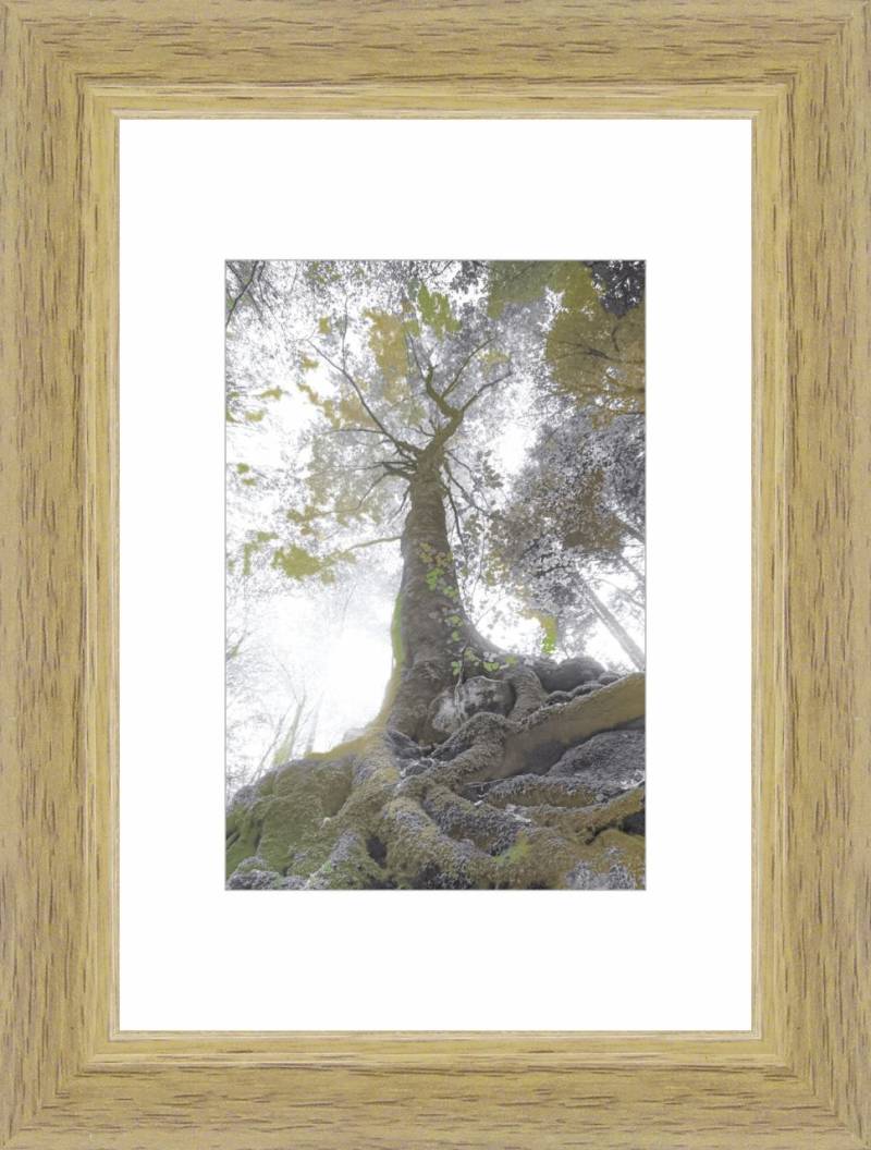 Bilderrahmen Modern eiche, 9 x 13 cm von The Wall