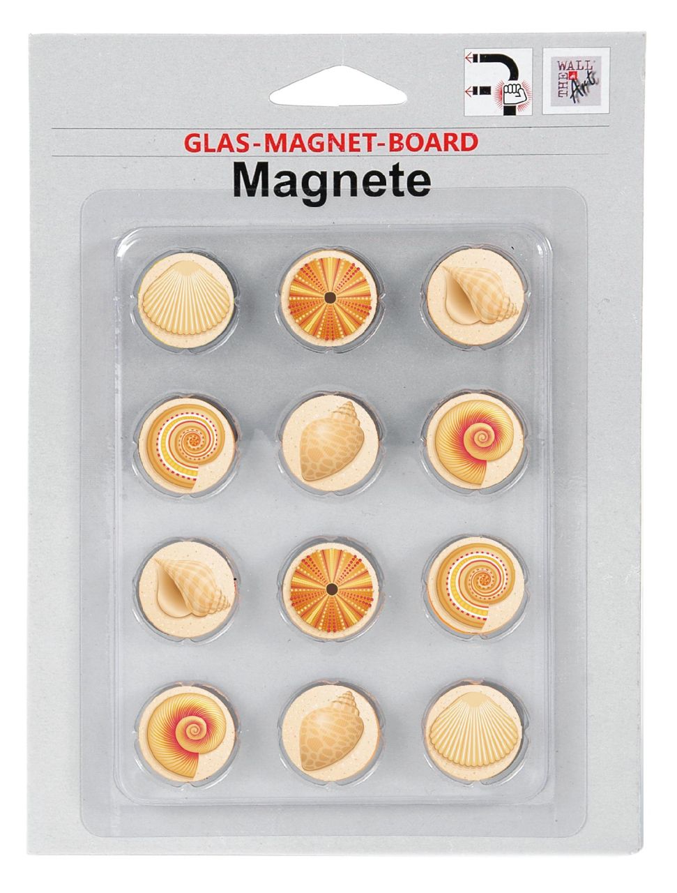 Magnetset 12-teilig - Muscheln für Glas-Magnet-Board von Weitere