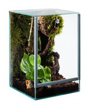 Glas Terrarium Glasterrarium 15x15x20 15 20 Falltür Glas Terrarium Glasterrarium 15x15x20 15 20 Falltür von Diversa