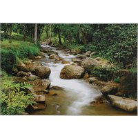 Wald Vastu Fluss Fine Print Wandaufkleber Poster Ohne Rahmen | 24 X 48 Inches von DivinedecorsIndia