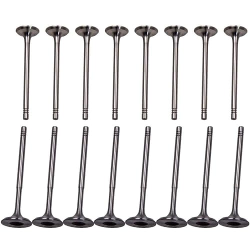 8x Einlassventil + 8x Auslassventil kompatibel mit A-U-D-I S-E-A-T SKO-DA V-W, 1,4 16V 1,6 FSI 1.2i 12V 1 8x Einlassventil + 8x Auslassventil kompatibel mit A-U-D-I S-E-A-T SKO-DA V-W, 1,4 16V 1,6 FSI 1.2i 12V 1 von Dixhills