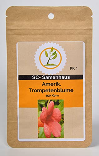 Amerikanische Trompetenblume Campsis radicans 150 Samen SC-Samenhaus von Dixis Samen