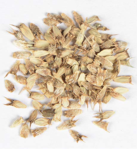 Blaue Edeldistel Eryngium planum 100 Samen Blaue Edeldistel Eryngium planum 100 Samen von Dixis Samen