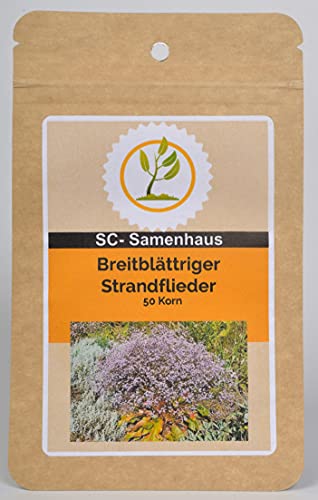 Breitblättriger Strandflieder Limonium latifolium 50 Samen SC-Samenhaus von Dixis Samen