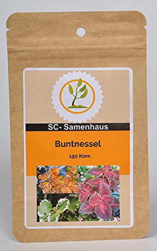 Buntnessel Solenostemon 'Rainbow Mix' (Coleus blumei) 150 Samen SC-Samenhaus von Dixis Samen