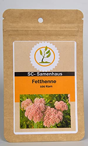 Fetthenne, Wildform Sedum telephium 100 Samen SC-Samenhaus von Dixis Samen