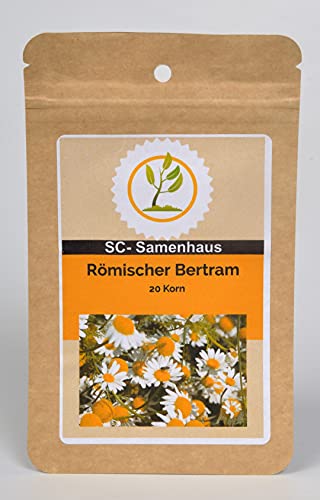 Römischer Bertram Anacyclus pyrethrum 20 Samen SC-Samenhaus von Dixis Samen