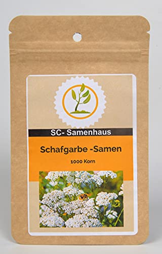 Schafgarbe Achillea millefolium 1000 Samen SC-Samenhaus von Dixis Samen