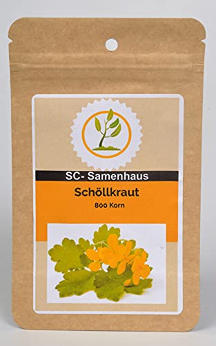 Schöllkraut Chelidonium majus 800 Samen SC-Samenhaus von Dixis Samen