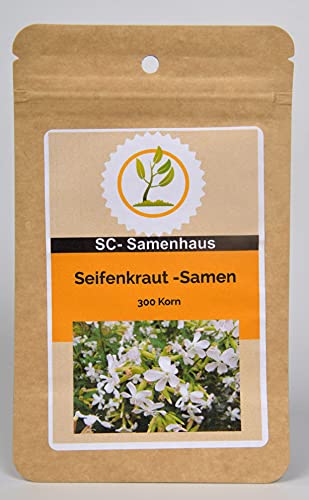 Seifenkraut Saponaria officinalis 300 Samen SC-Samenhaus von Dixis Samen
