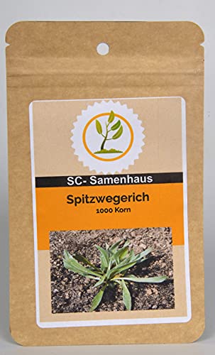 Spitzwegerich Plantago lanceolata 1000 Samen SC-Samenhaus Spitzwegerich Plantago lanceolata 1000 Samen SC-Samenhaus von Dixis Samen
