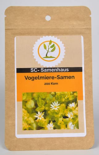 Vogelmiere Stellaria media 200 Samen SC-Samenhaus von Dixis Samen