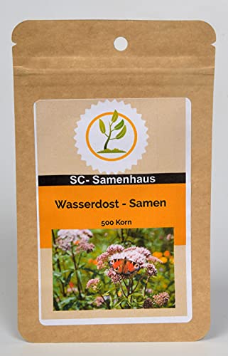 Wasserdost Eupatorium cannabinum 500 Samen SC-Samenhaus von Dixis Samen
