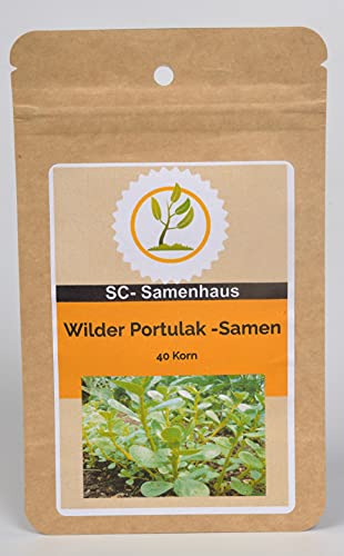 Wilder Portulak Portulacca oleracea 40 Samen SC-Samenhaus Wilder Portulak Portulacca oleracea 40 Samen SC-Samenhaus von Dixis Samen
