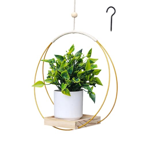 Diyxisk Blumentopf Hängend, Metallring Hängende Blumentöpfe, Hängender Blumentopf Außen, Hängeblumentöpfe Innen, mit Holzsockel, für Balkon Decke Fenster Garten Veranda Balkon (Gold) von Diyxisk