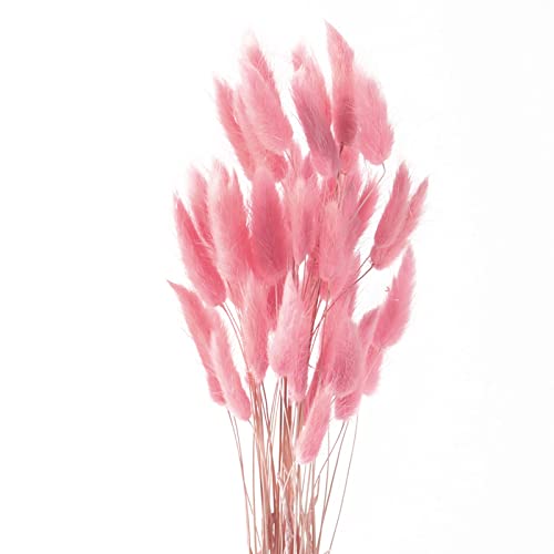 Diyxisk Pampasgras Deko,50 Stück Natürliche Trockenblumen Pflanze,Schilf Boho,Modern Vintage,Geeignet für Vase Hochzeit Tisch Zimmer Home Decor Accessoires Wohnzimmer（Rosa） von Diyxisk