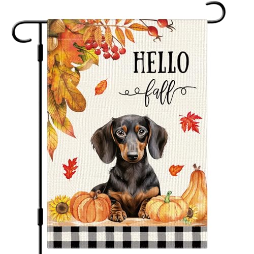 DLZDN Hello Fall Hund Gartenflagge Dackel Hund Kürbisse Flagge 30,5 x 45,7 cm doppelseitig Büffelkariert Bauernhaus Hofschild Herbst saisonale Outdoor-Hausdekoration von Dlzdn