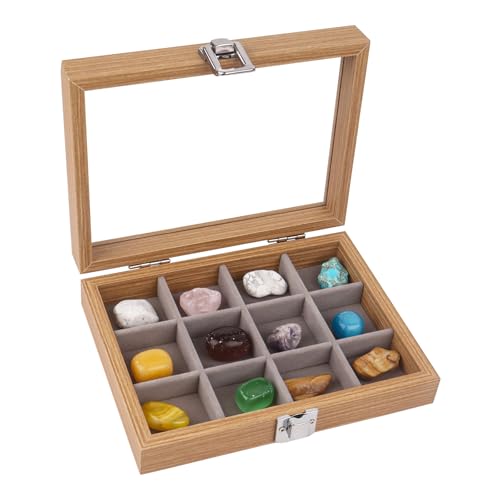 Dmnnlp 12 Grids Rock Display Case, hölzerne Rock Collection Box mit klarem Glasdeckel, Storage Display Boxen für Sammlerstücke Edelstein Fossil Kristall Stein Schmuck (Dunkelbraun) von Dmnnlp