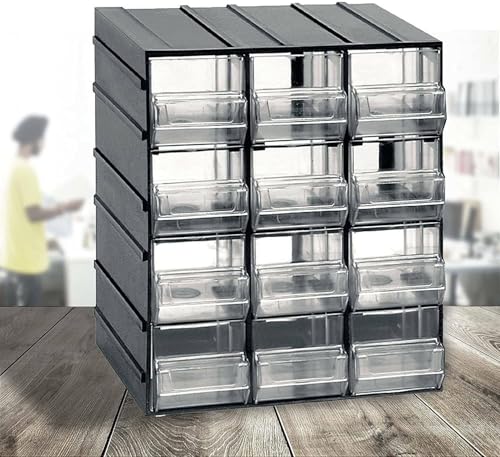 Dmora - Tienen 2 Türen Mehrzweckschrank, Kleinteileschrank, Schrank für Werkzeugbehälter, 100 % Made in Italy, 19x15h23 cm, Anthrazit, 12 Schubladen Dmora - Tienen 2 Türen Mehrzweckschrank, Kleinteileschrank, Schrank für Werkzeugbehälter, 100 % Made in Italy, 19x15h23 cm, Anthrazit, 12 Schubladen von Dmora