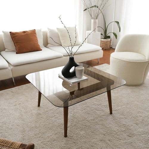 Dmora Couchtisch Auroria, Couchtisch, Zeitschriftenständer für Sofa, Wohnzimmerregal, 80 x 80 x 40 cm, Bronze Dmora Couchtisch Auroria, Couchtisch, Zeitschriftenständer für Sofa, Wohnzimmerregal, 80 x 80 x 40 cm, Bronze von Dmora