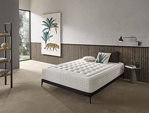 Dmora Matratze Luxury Relax für Doppelbett, Struktur mit Taschenfederkern und Memory-Schaum, orthopädisch, mit Fester Tragkraft, 160 x 190 cm, Höhe 30 cm von Dmora