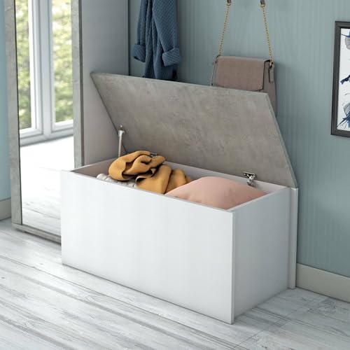 Dmora - Koffer Miltonia, Geräumige Mehrzweck - Aufbewahrungsbox, Moderne Brust, 100% Made in Italy, Cm 90x45h45, Weiß und Beton von Dmora