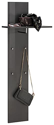 Dmora Vertikale Garderobe, Made in Italy, mit Regal und 4 Haken, Möbel für Flur, Moderner Eingang, cm 50x27h140, Farbe Anthrazit glänzend von Dmora