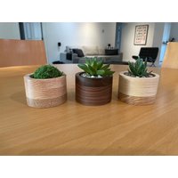 Handgemachte Holz Pflanzschale Für Sukkulenten Eiche, Walnuss, Esche von DmsDesignTeam