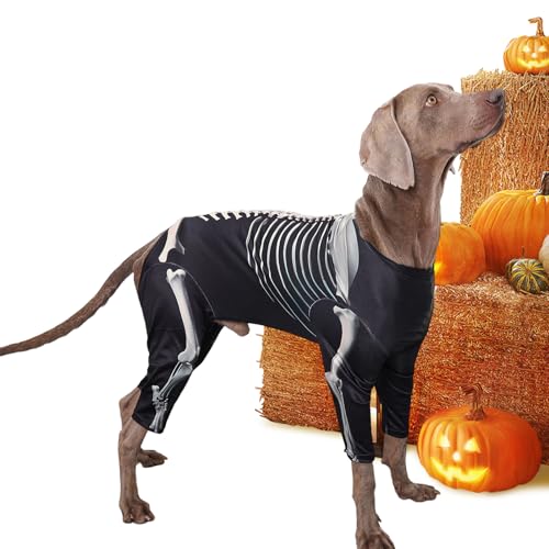 Dmuzsoih Hundeskelett Kostüm, Großhunde Halloween Kostüm, Foto Requisiten, Halloween Haustierkostüm, Atmungsaktive Kostüme Für Thanksgiving Weihnachten Und Festivalsaison von Dmuzsoih