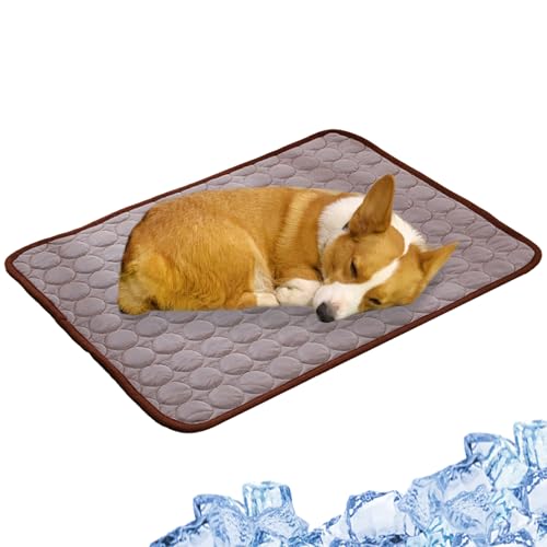 Dmuzsoih Kühlmatte für Hunde, Kühlkissen für Hunde,Kühlmatten für Haustiere - Sommer-Eispads für Käfig, Zwinger, Bett, Sofa, Hundebettmatten, Käfigunterlage, Haustierbedarf für und Katzen Dmuzsoih Kühlmatte für Hunde, Kühlkissen für Hunde,Kühlmatten für Haustiere - Sommer-Eispads für Käfig, Zwinger, Bett, Sofa, Hundebettmatten, Käfigunterlage, Haustierbedarf für und Katzen von Dmuzsoih
