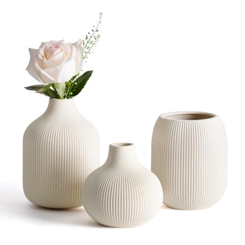 Dnnnii Kleines Keramikvasen-Set 3-TLG Beige - Minimalistische Vasen mit Rillendesign, kompakte Übergangsdekoration für Wohnzimmer, Schlafzimmer, Büro (3-TLG Beige Keramikset) von Dnnnii