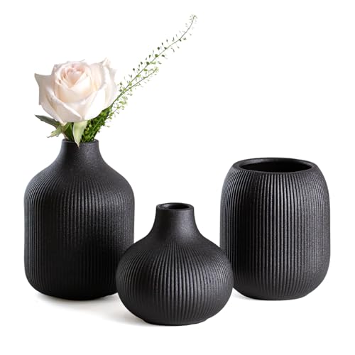 Dnnnii Kleines Keramikvasen-Set 3-TLG Schwarze - Minimalistische Vasen mit Rillendesign, kompakte Übergangsdekoration für Wohnzimmer, Schlafzimmer, Büro (3-TLG Schwarzes Keramikset) von Dnnnii