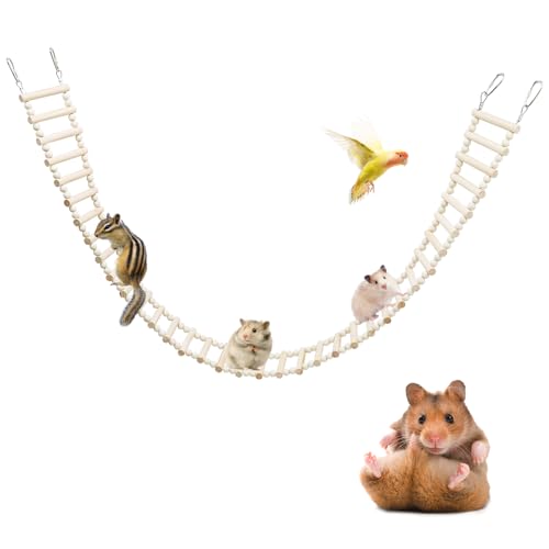 Rattenleiter Brücke Spielzeug, Ratten Klettern Spielzeug, Natürliche Holz Hamster Leiter Brücke Spielzeug, Käfig Zubehör für Vogel Papagei Nymphensittiche Zuckergleiter - 36 Stufen - 50,78 x 3,14 Zoll Rattenleiter Brücke Spielzeug, Ratten Klettern Spielzeug, Natürliche Holz Hamster Leiter Brücke Spielzeug, Käfig Zubehör für Vogel Papagei Nymphensittiche Zuckergleiter - 36 Stufen - 50,78 x 3,14 Zoll von Dnoifne