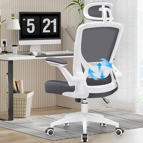 DoChair Ergonomischer Bürostuhl, Schreibtischstuhl mit Hochklappbaren Armlehnen, Einstellbarer Lendenstütze, Sessel mit hoher Rückenlehne,Höhenverstellbarer Chefsessel Drehstuhl(Dunkelgrau) von DoChair