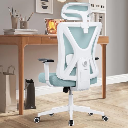 DoChair Ergonomischer Bürostuhl, Bürostuhl mit Lendenwirbelstütze und verstellbaren Armlehnen, Bürostuhl aus Netzstoff, hohe Rückenlehne, komfortabel, für das Büro zu Hause (Hellblau, 9777) von DoChair