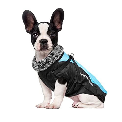 Dociote Hunde Wintermantel Winterjacke mit Geschirr Reißverschluss reflektierender & winddichter Hundemantel Hundejacke mit Gurte und D-Ring für mittelgroße große Hunde Blau 2XL von Dociote