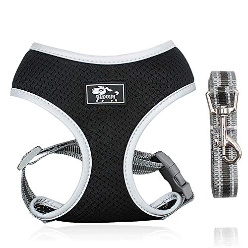 Dociote Hundegeschirr Set mit Leine - Brustgeschirr Welpengeschirr Set mit Leine & Reflektorstreifen verstellbares Geschirr für Welpen kleine Hunde Katzen Schwarz XS von Dociote