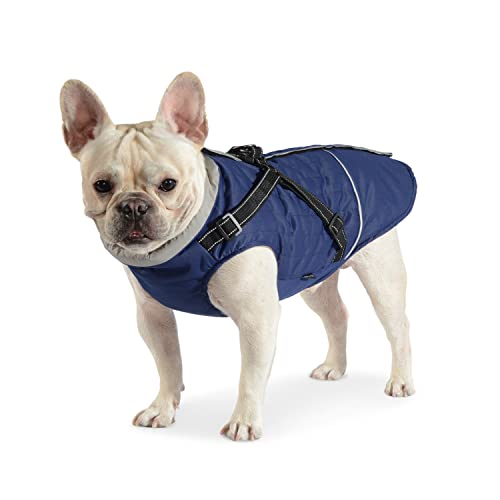 Dociote Hundemantel Hundejacke mit Geschirr & Reißverschluss gefütterter & wasserdichter Wintermantel Winterjacke für Winter für kleine mittelgroße Hunde Blau XL von Dociote