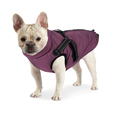 Dociote Hundemantel Hundejacke mit Geschirr & Reißverschluss gefütterter & wasserdichter Wintermantel Winterjacke für Winter für kleine mittelgroße Hunde Lila L von Dociote