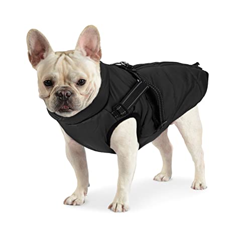 Dociote Hundemantel Hundejacke mit Geschirr & Reißverschluss gefütterter & wasserdichter Wintermantel Winterjacke für Winter für kleine mittelgroße Hunde Schwarz L von Dociote