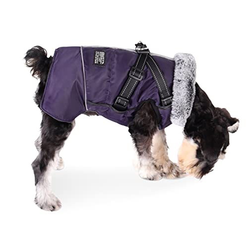 Dociote Hundemantel Hundejacke mit abnehmbarem Geschirr & Klettverschluss gefütterter & wasserdichter Wintermantel Winterjacke für kleine mittelgroße Hunde Lila 2XL von Dociote