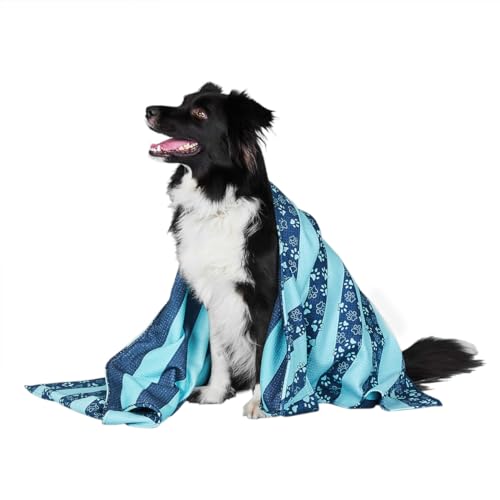 Dock & Bay Hundehandtuch - Besonders saugfähig und schnell trocknendes Handtuch mit Tragetasche - 100% recycelt - Dog Days, Large (120x70cm, 47x27) von Dock & Bay