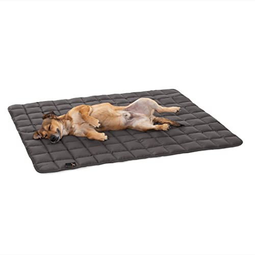 Doctor Bark Pointer | Hundedecke, gepolsterte Liegedecke, Hundematte waschbar (XL - 130x110 cm, Grau) von Doctor Bark