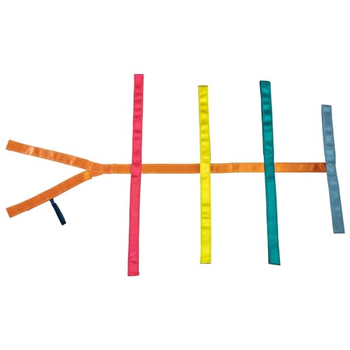Dönges Gurtsystem Spiderstrap Neo (Spineboard Patientengurt Immobilisierung Fixierung Patientenfixiersystem Patientengurte 201036 RQTGS1040), für alle Spineboards geeignet von Dönges
