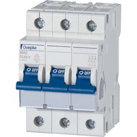 Doepke Leitungsschutzschalter DLS 6H B20-3 6KA - 9914114 Doepke Leitungsschutzschalter DLS 6H B20-3 6KA - 9914114 von Doepke