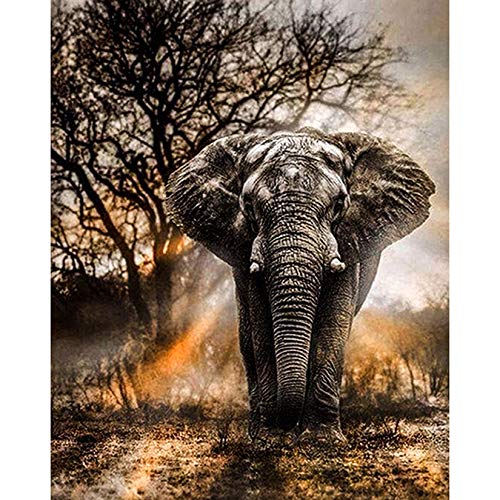 Does Not Apply 5D Diamant Painting Kits Full Drill, Elefant Kristall Strass Diamant Stickerei Kunst Bilder, DIY Kunst Bastelbedarf für Erwachsene, Kinder, Zuhause, Wanddekoration - 30 * 40 cm von Does Not Apply