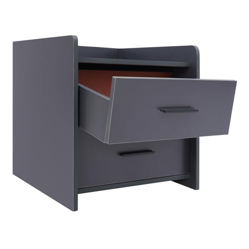 Dofanqing Nachttisch Nachtkommode Nachtschrank 40x40x42 cm 2 Schubladen modernes Design 3 Farben erhältlich für Schlafzimmer Wohnzimmer Büro (Dunkelgrau) von Dofanqing