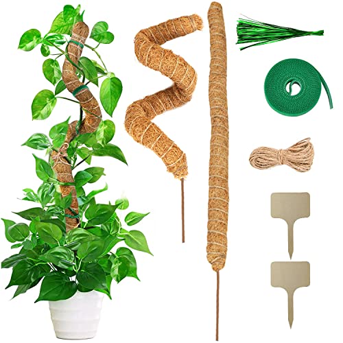 Rankhilfe Zimmerpflanzen Pflanzenstab Biegsame Moosstab Moss Pole 2 Stück 60CM Pflanzstab Set Kokosstab für Pflanzen für Kletterpflanzen Handgefertigte schlanke Pflanzenstäbe für Indoor Pflanzen von Dog's Booty