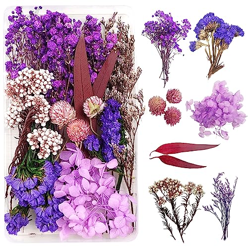 Trockenblumen zum Basteln Trockenblumen Deko Trockenblumen Klein Getrocknete Blumen Deko Trockenblumen Basteln Trockenblumen Set für DIY Basteln Epoxidharz Scrapbooking Dekoration（lila und rot） von Dog's Booty